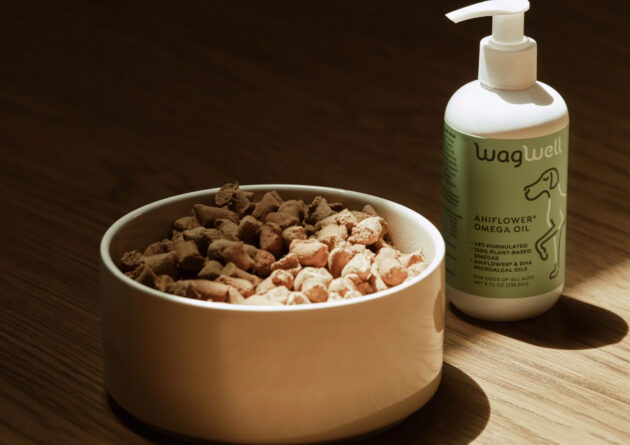 What’s Missing From Most Dogs’ Diets (And Why It Shows in Their Coat)